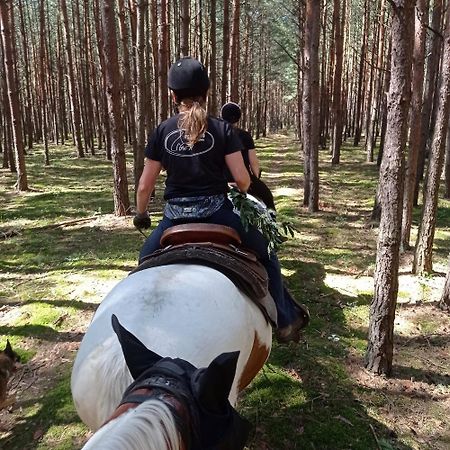Stajnia Rajdowa Geronimo Βίλα Majdan Stulenski Εξωτερικό φωτογραφία